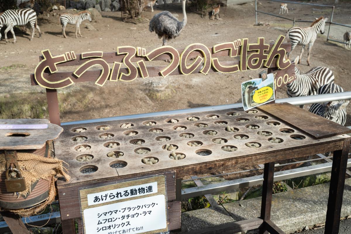 「エサやり体験」1カップ100円