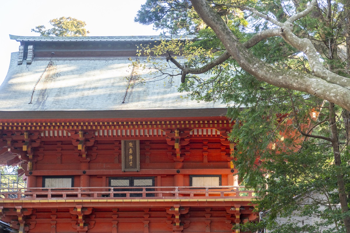 国の重要指定文化財に指定