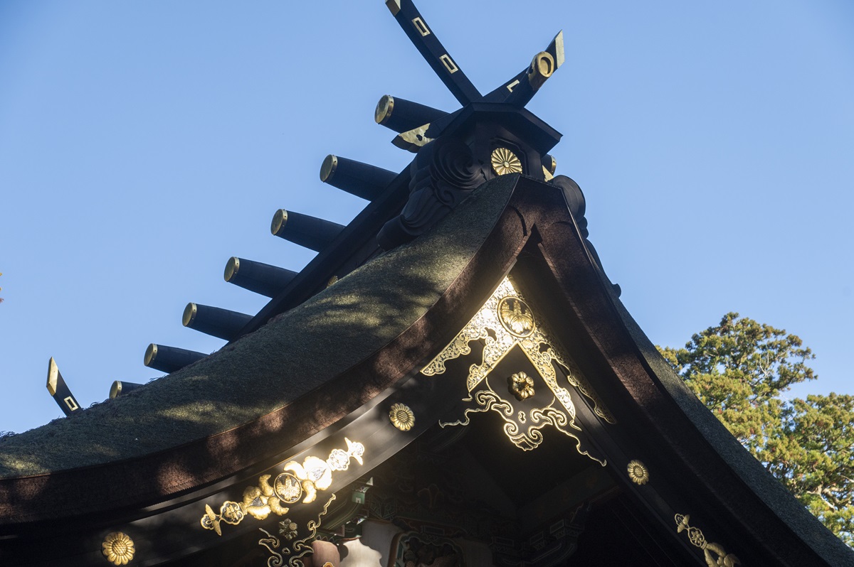 交差した木の先端が地面に対して垂直になっている外削ぎ