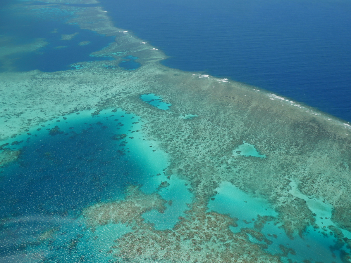 グレートバリアリーフをヘリコプターから俯瞰して見た画像