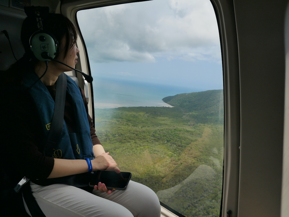 ヘリコプター内からケアンズの海とマングローブ林を見ている女性の画像