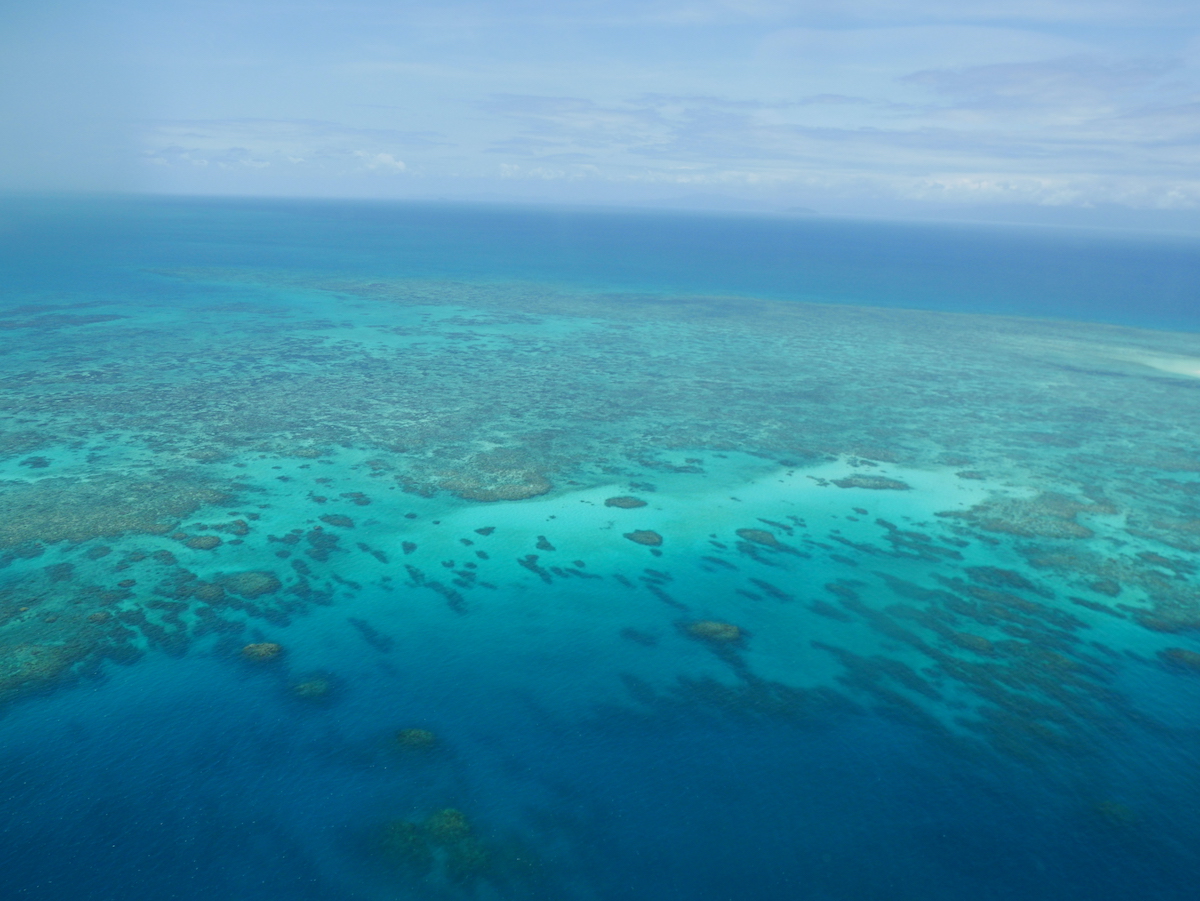 視界いっぱいにグレートバリアリーフが広がるブリッグスリーフ周辺の画像