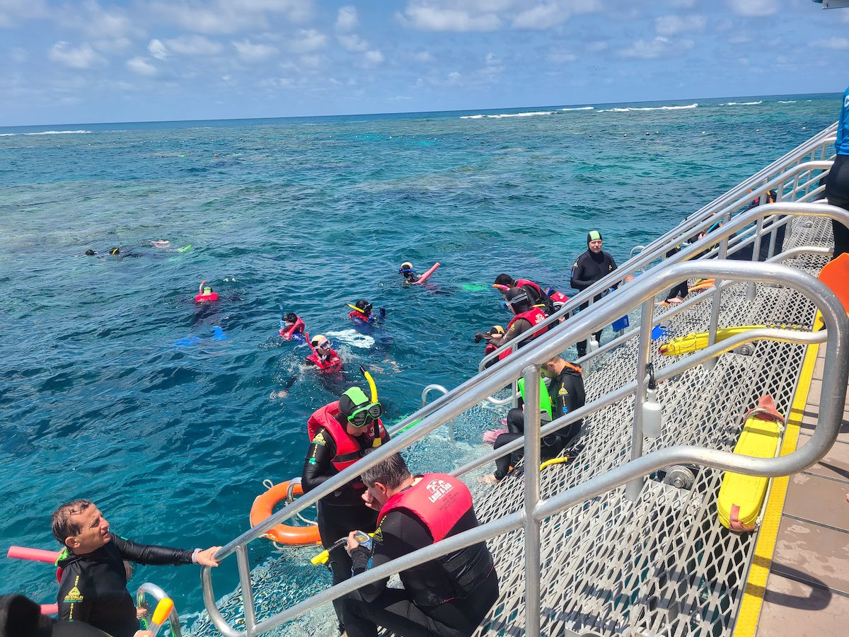 ポンツーンからシュノーケルエリアに降りる階段は常に人で賑わっていました