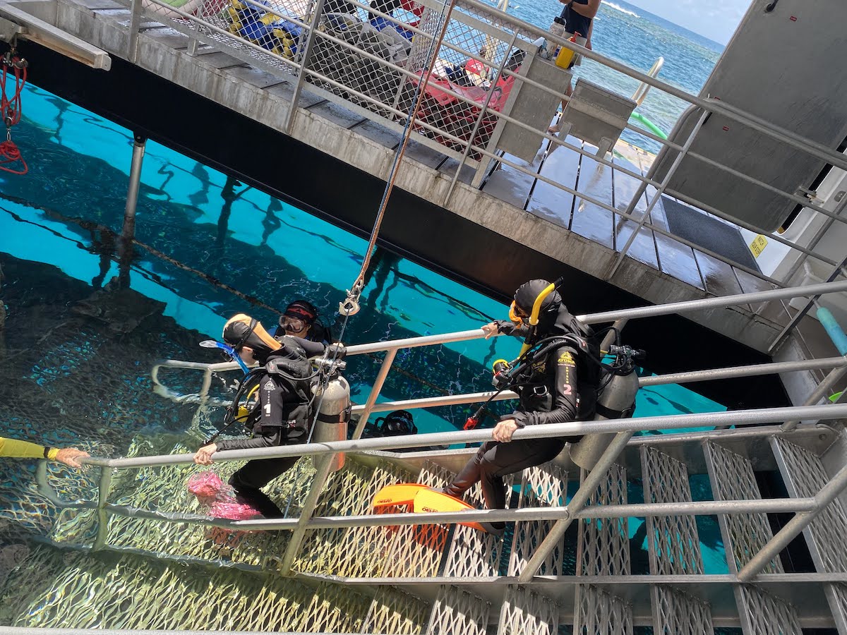 ダイビング用のタンクを背負った女性二人が海の中へと階段を降りていく様子