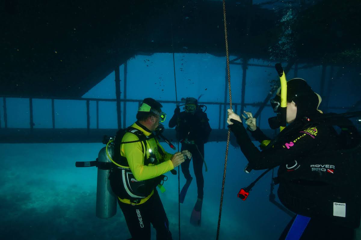 ロープをつたって少しずつ海の中へ潜って行く様子、ハンドサインでOKを出している