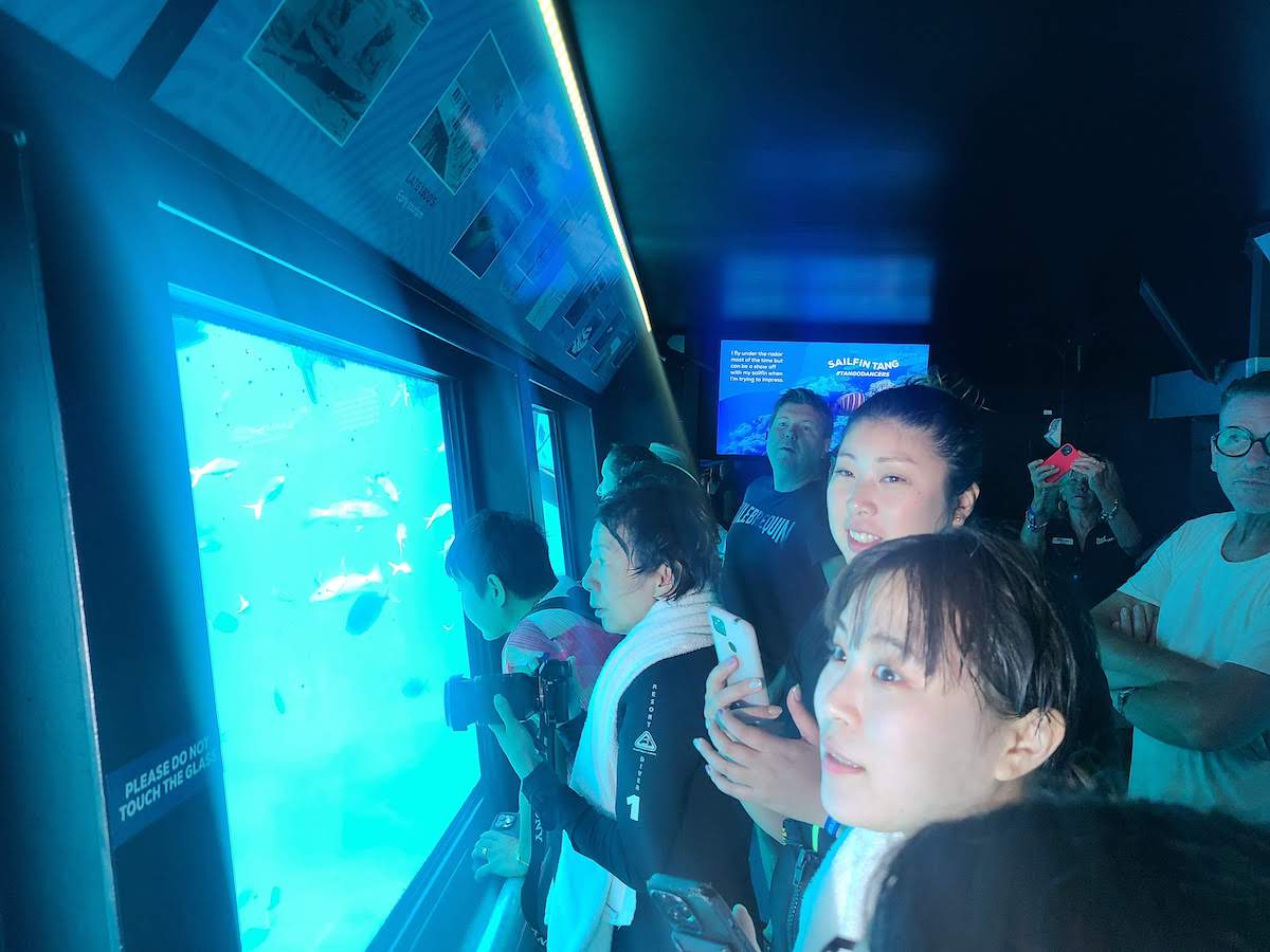 ポンツーン内、海中展望台で魚にエサをやるイベント「フィード・フィッシュ」を見ている人たちの様子