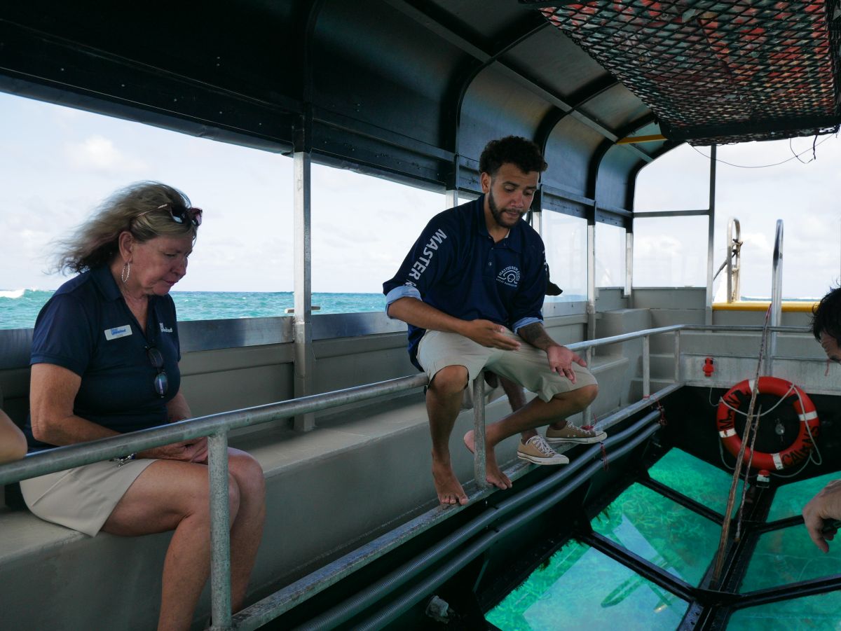 グラスボトムボートの様子