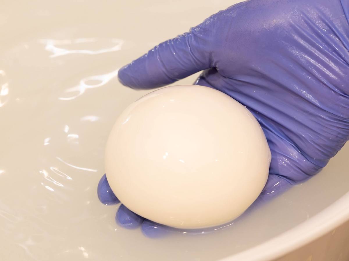 ミルクと塩だけで作られた艶々のできたて「ブッラータ」