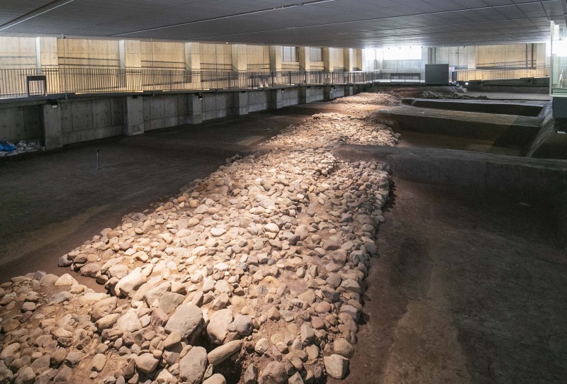 掘り出したままの姿をダイナミックに展示。360度あらゆる角度から眺められる