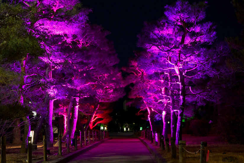 松の木の点灯は2箇所。こちらも赤から青、紫、緑と色が変化していきます