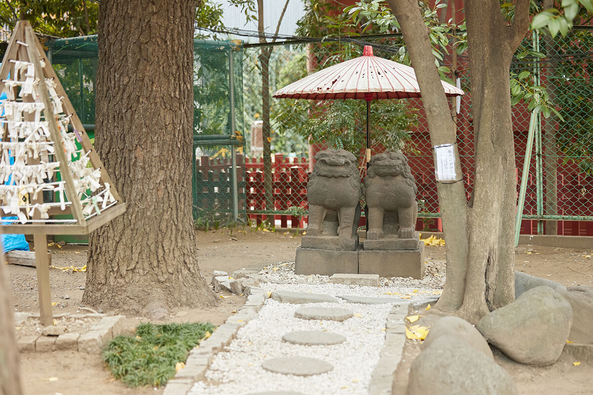 石段と砂利の道を進むと現れる、傘に入った夫婦仲睦まじい狛犬の姿