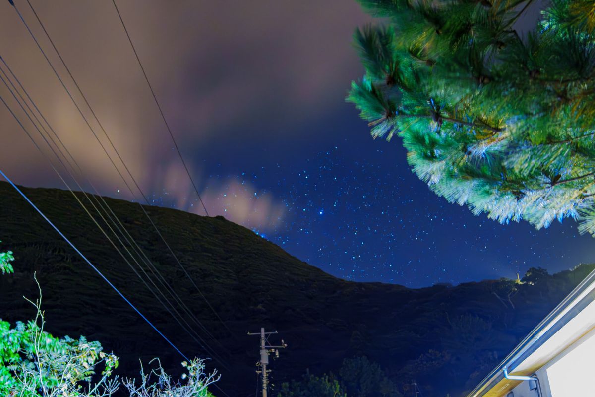 ガイドさんからの説明とともに奇跡の一瞬