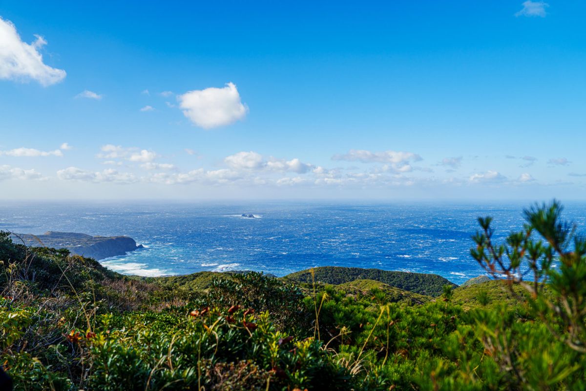 絶景を目指して8合目までトライ