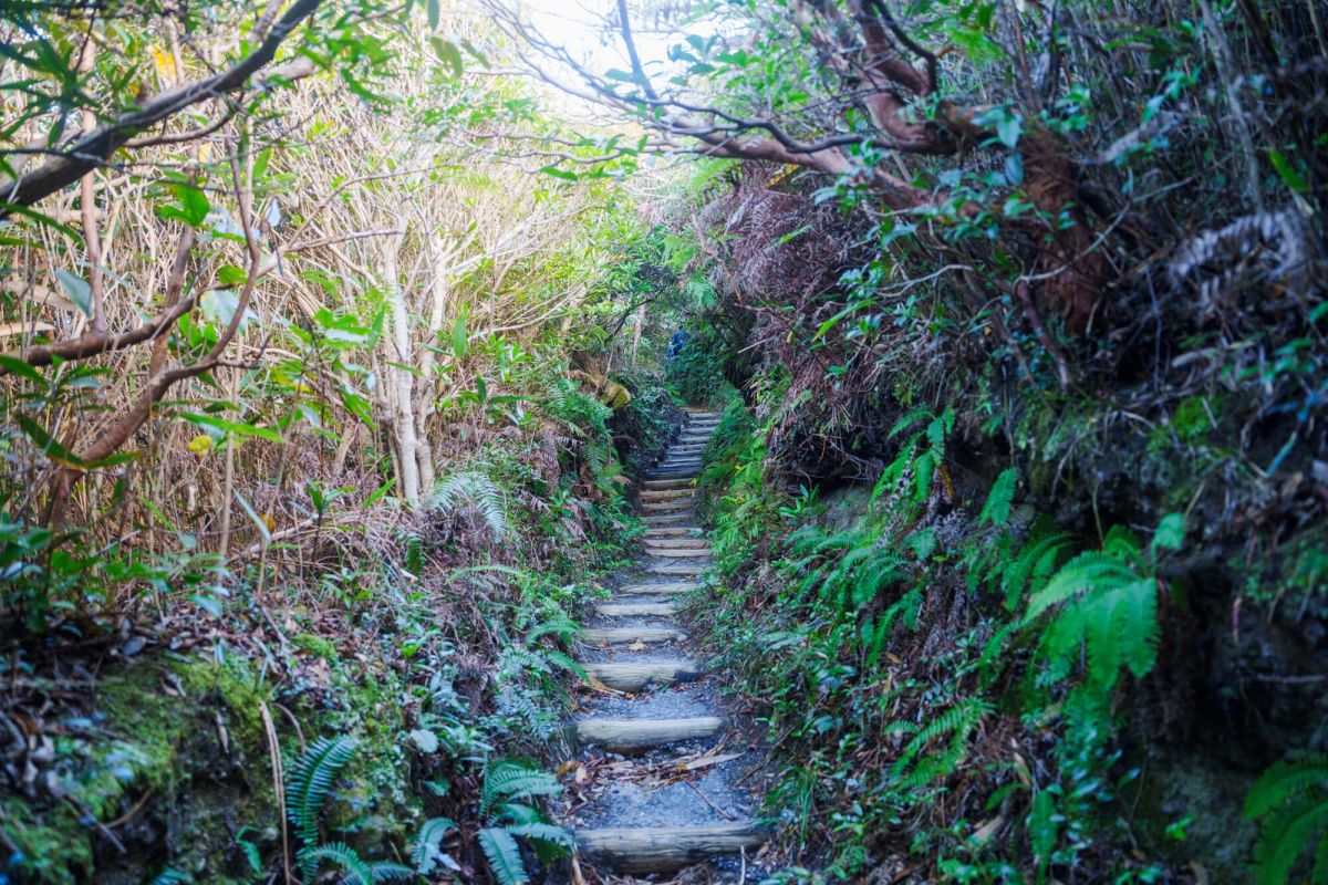 天上山は神話で神々が会議を開いた地なのだそう。