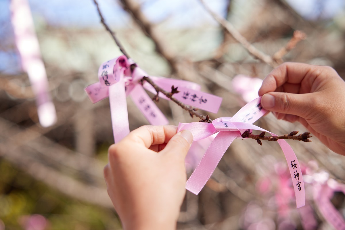 「さくらのえんむすび花帯」初穂料500円