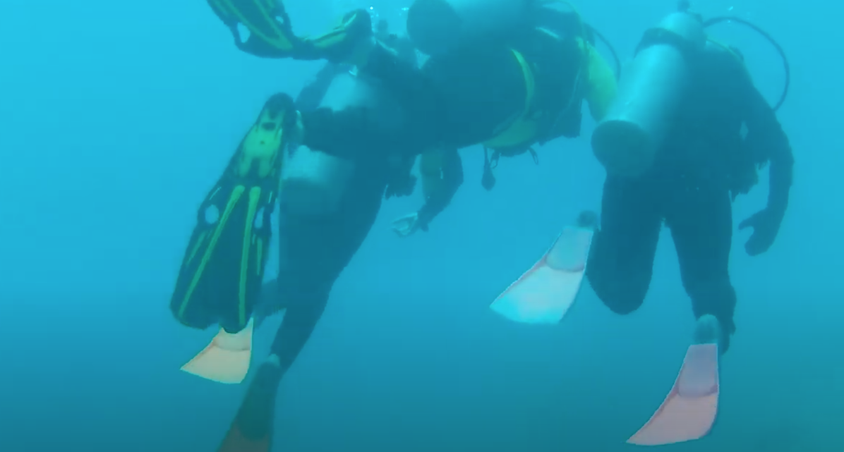 ダイビングが終わり、インストラクターと参加者が泳いでいる画像