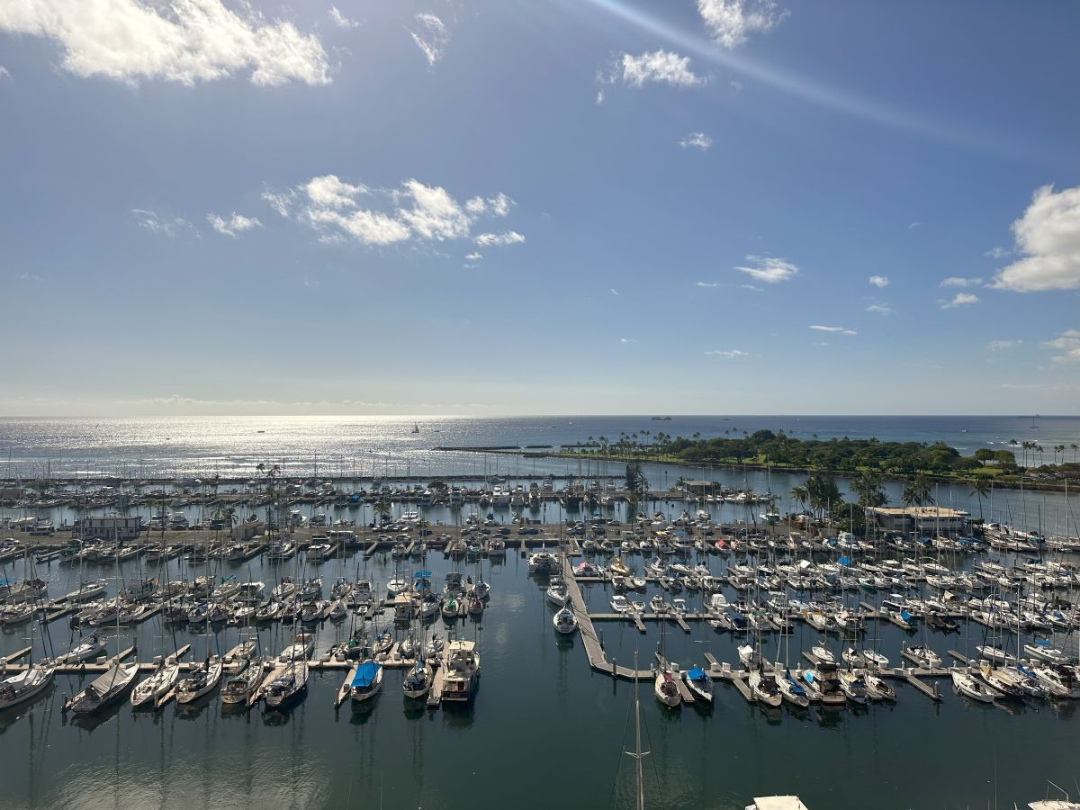 客室からの眺めは、青い空、青い海