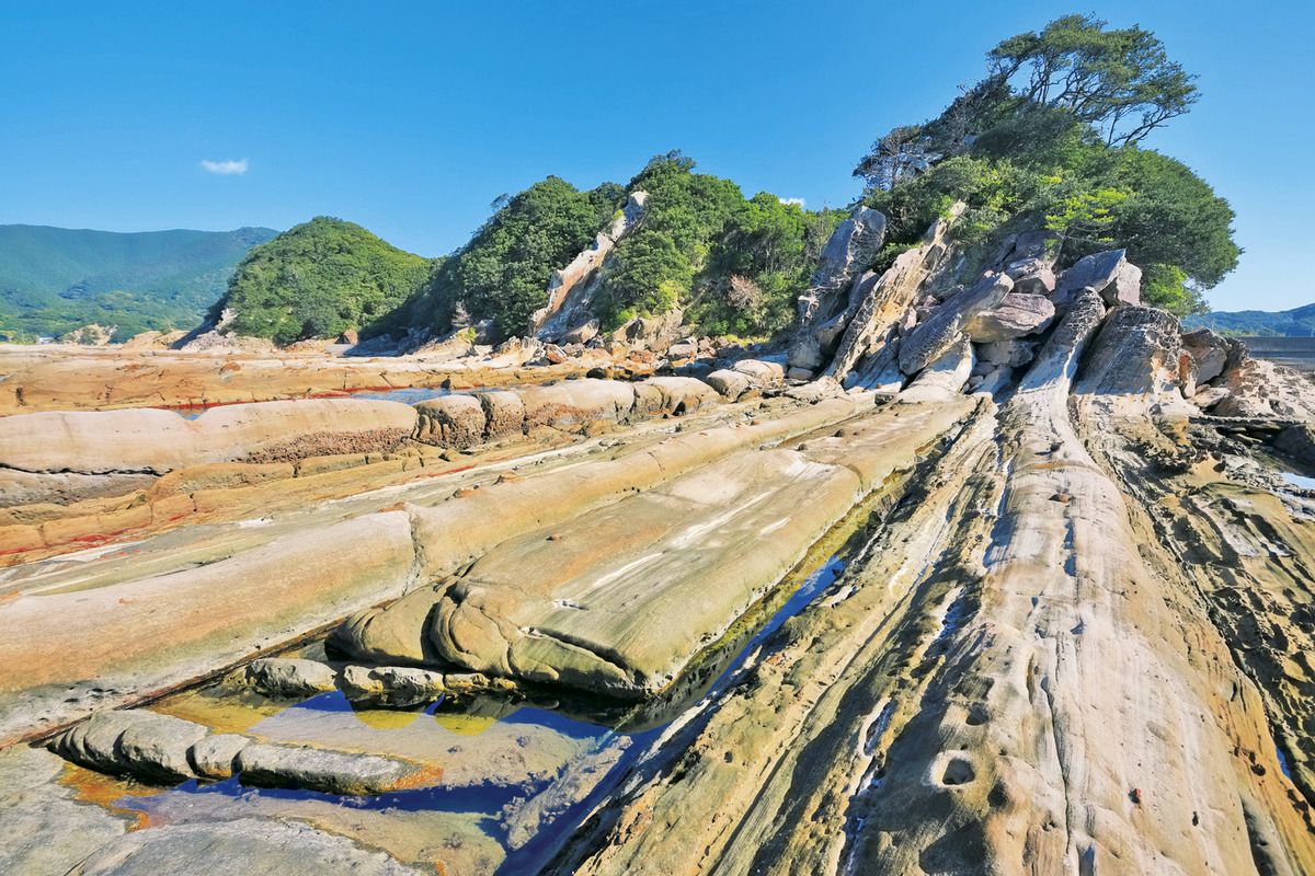 別名「地質の博物館」と言われる竜串海岸
