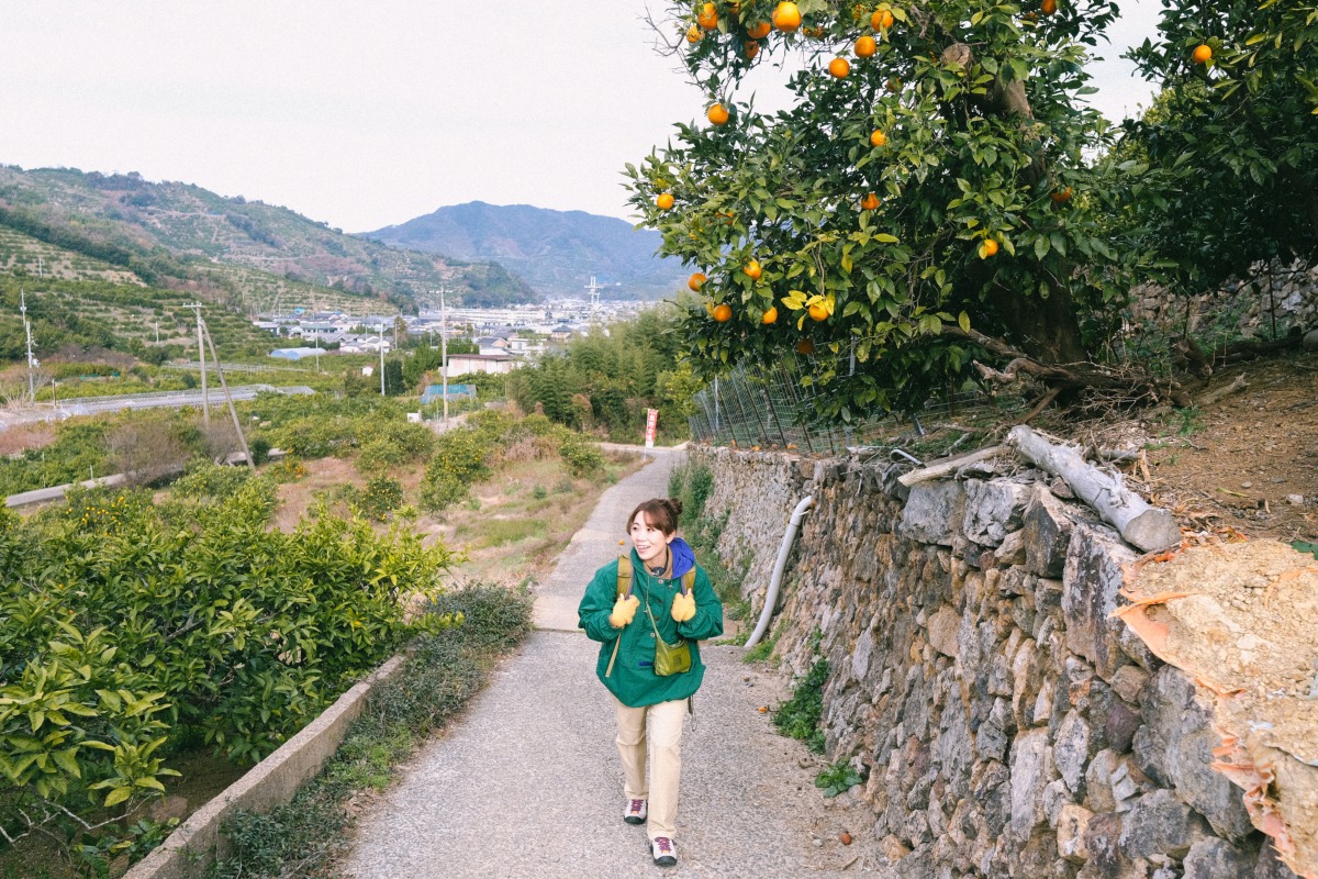 熊野古道 紀伊路