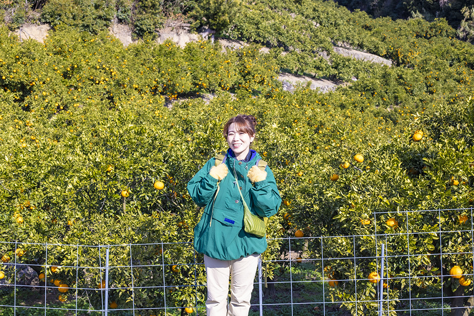 熊野古道 紀伊路