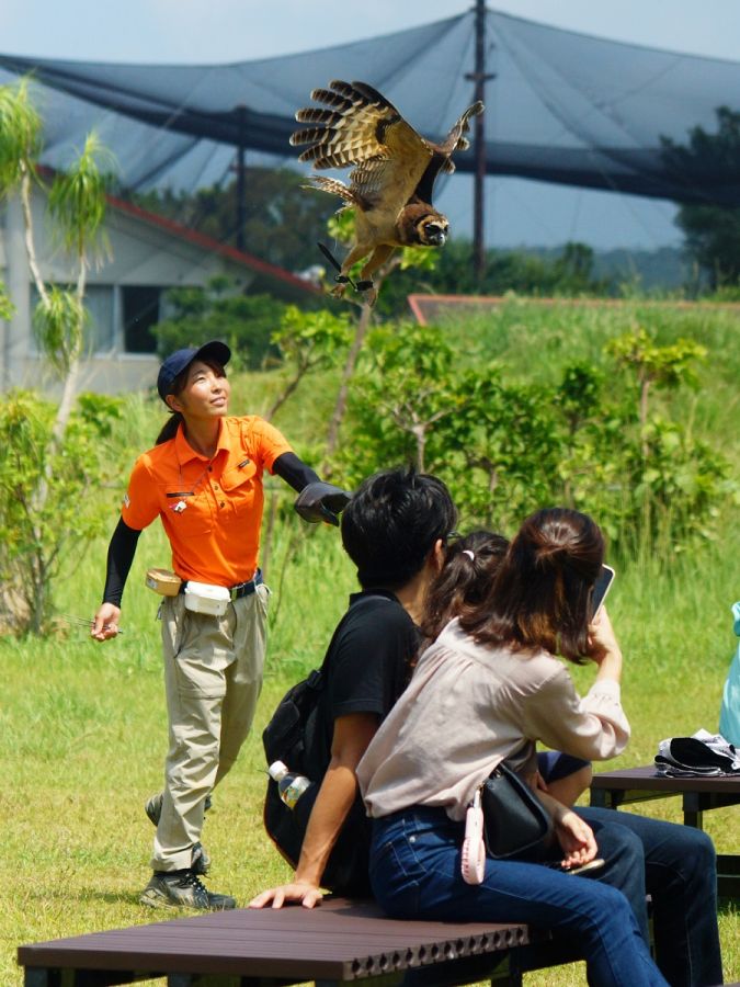 バードパフォーマンスショー