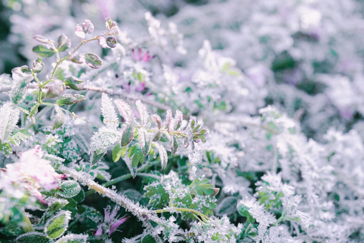 熊野古道 紀伊路