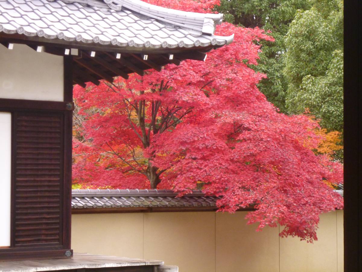 写真提供：廬山寺