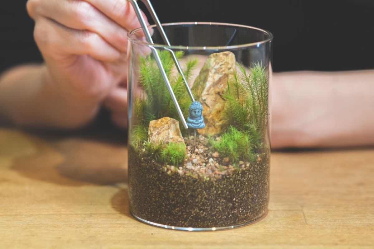 「苔テラリウム体験」Mサイズ4200円～