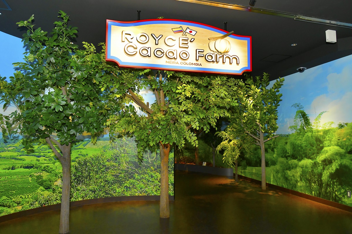 カカオファームゾーン入口