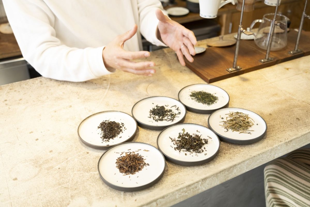 茶葉の見比べ