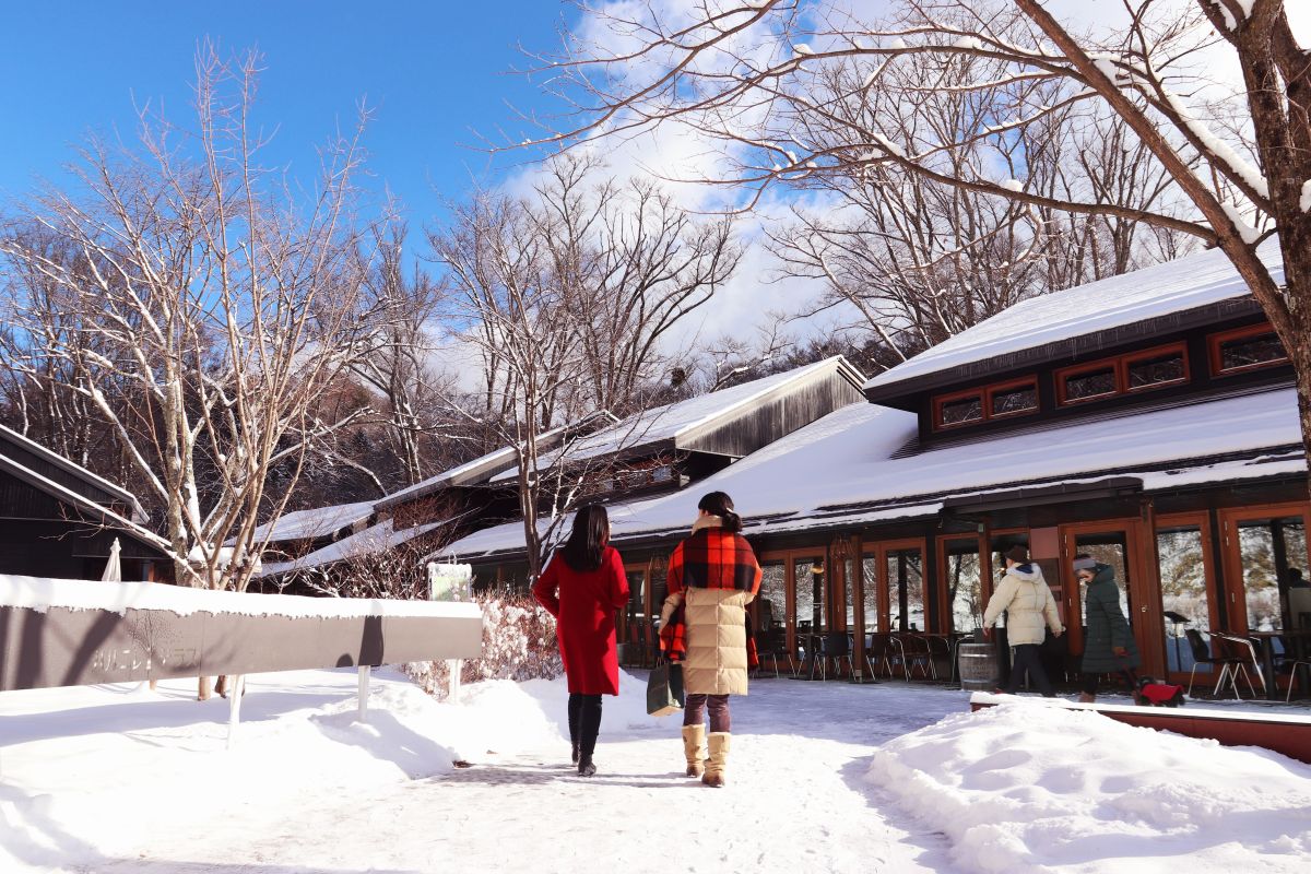 冬のハルニレテラス