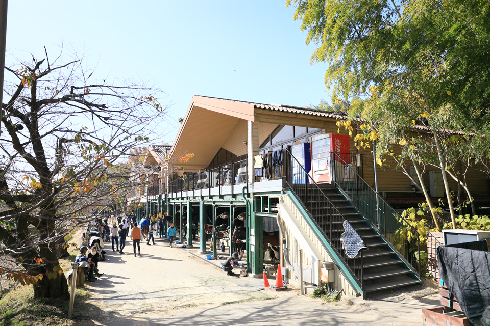 服部緑地乗馬センター