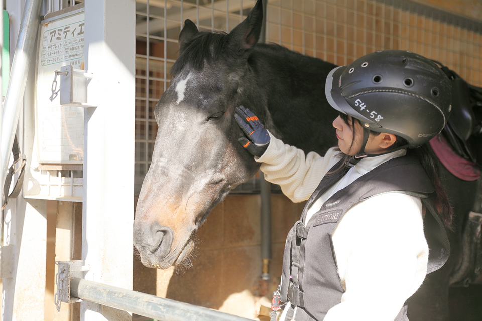 服部緑地乗馬センター