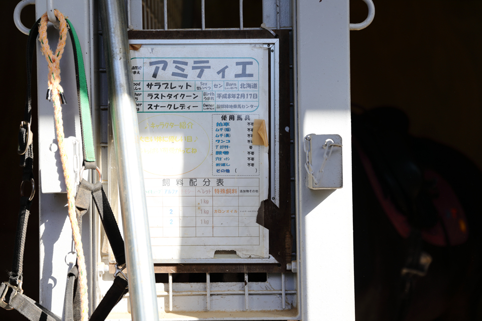 服部緑地乗馬センター