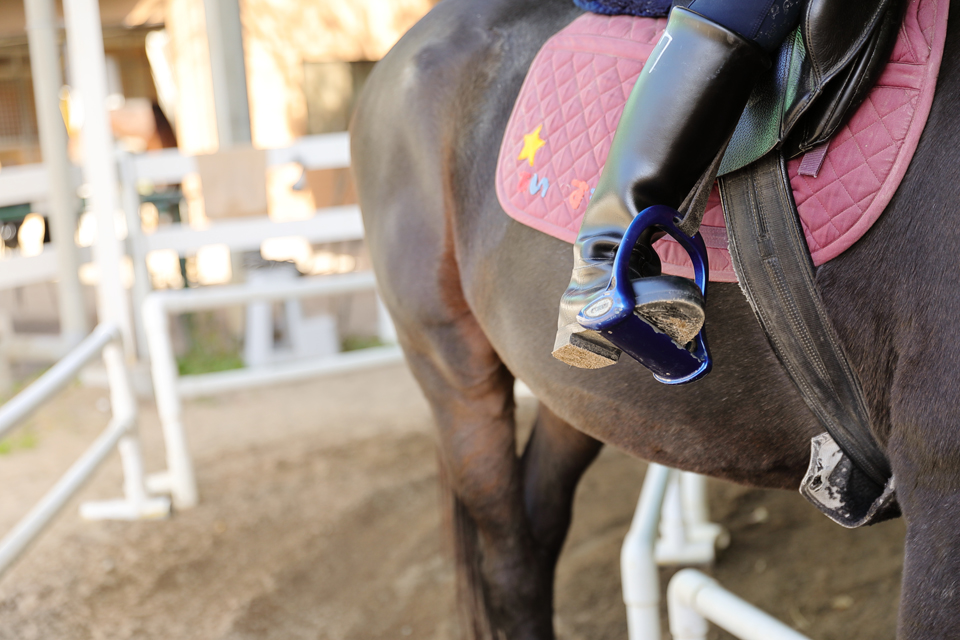 服部緑地乗馬センター