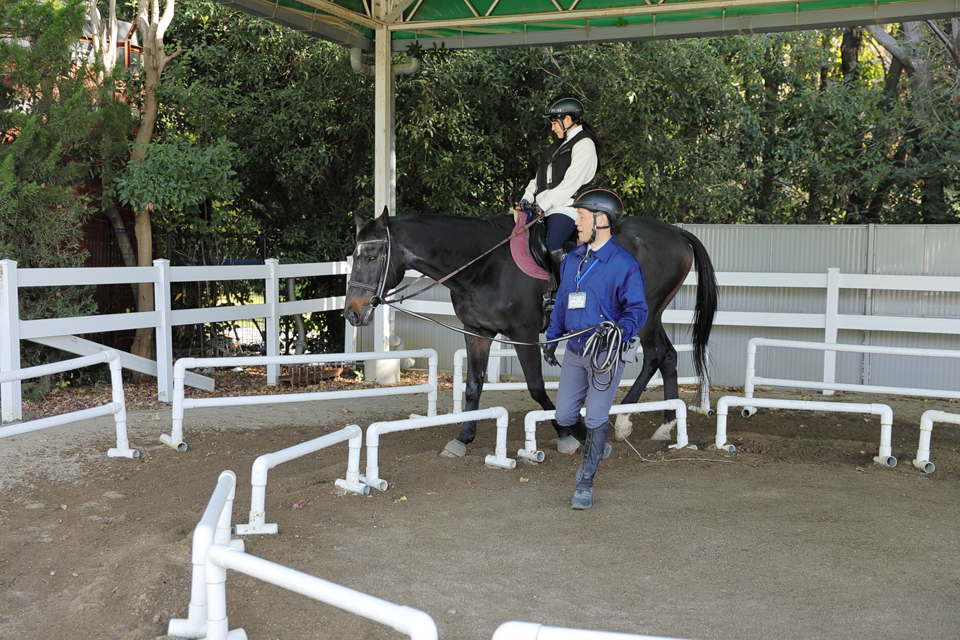 服部緑地乗馬センター