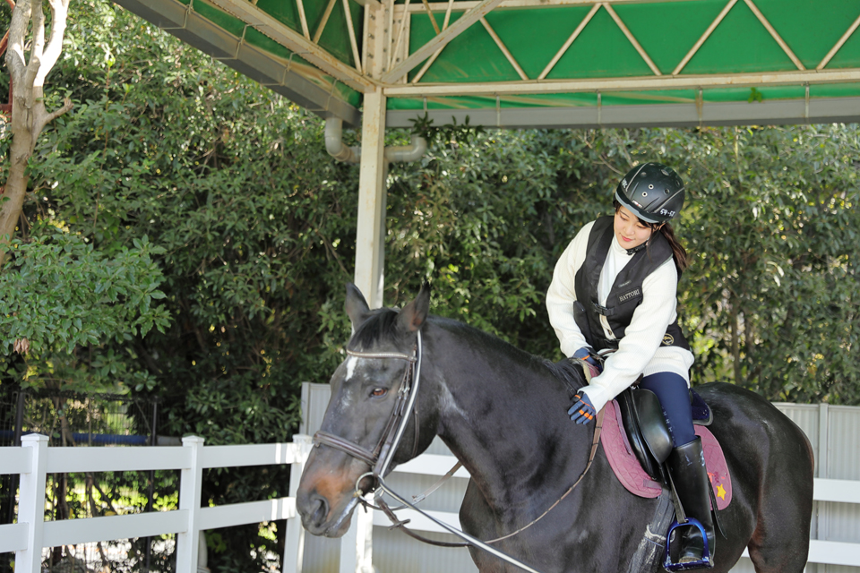 服部緑地乗馬センター