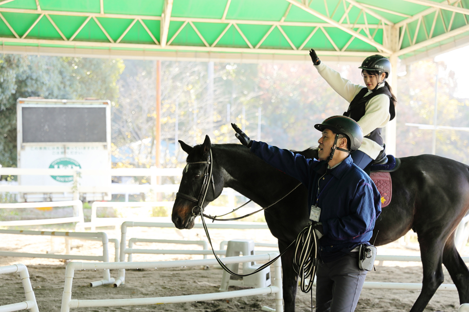 服部緑地乗馬センター