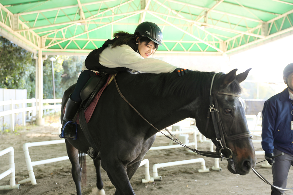 服部緑地乗馬センター