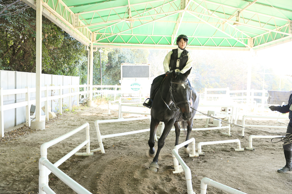 服部緑地乗馬センター