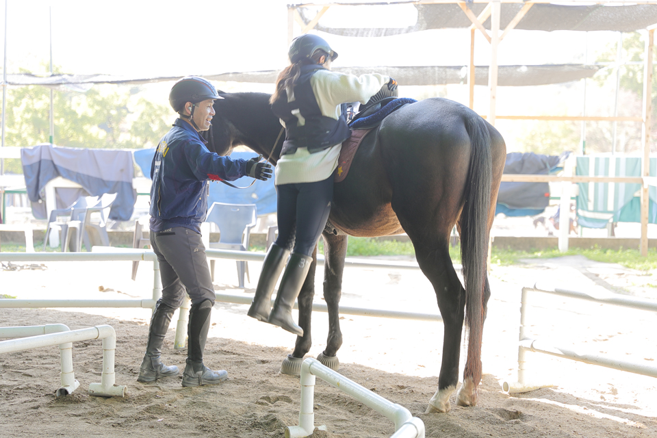 服部緑地乗馬センター