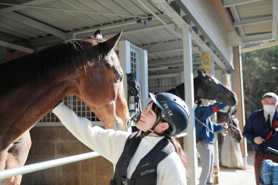 服部緑地乗馬センター