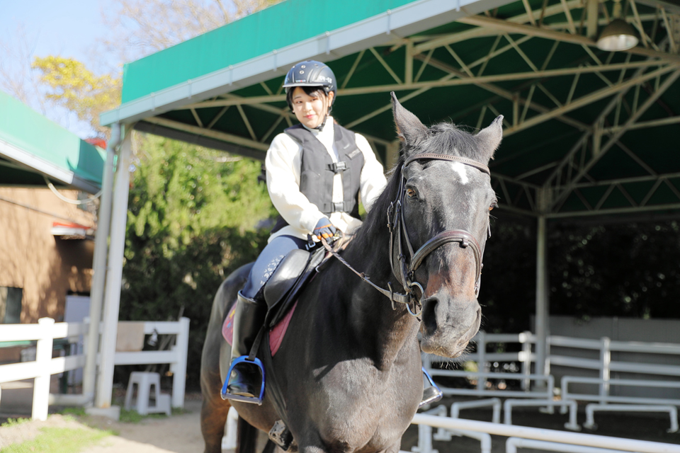 服部緑地乗馬センター