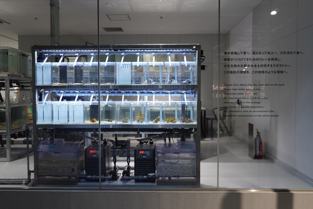 展示生物の健康管理を行う予備水槽