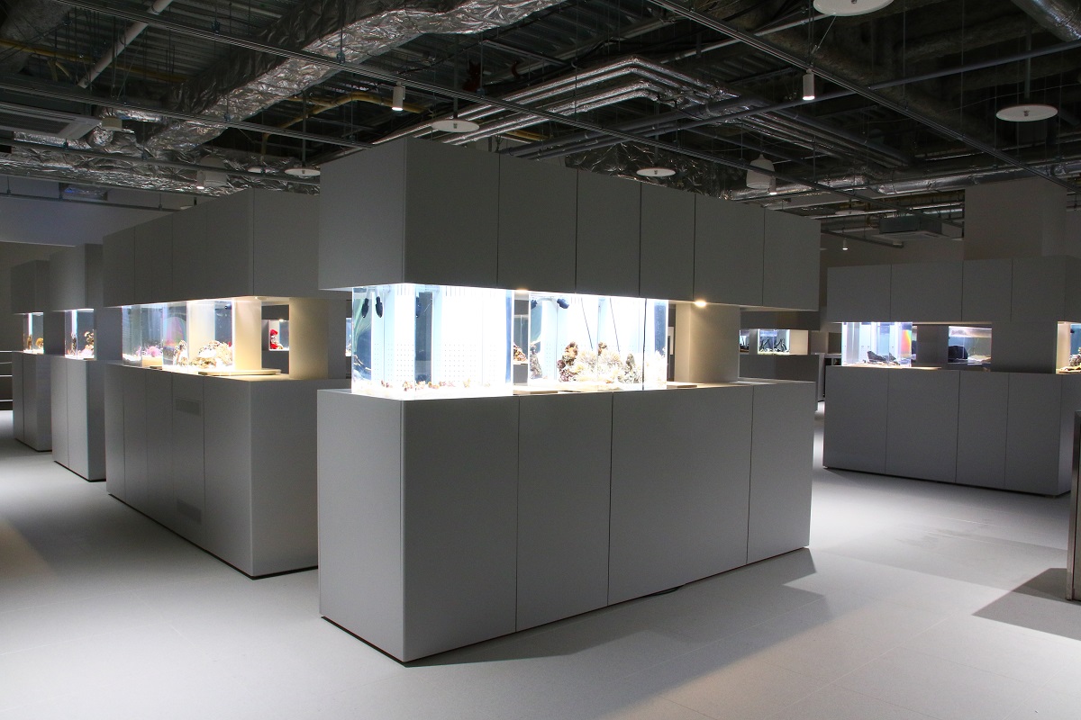 ライブラリーアクアリウム