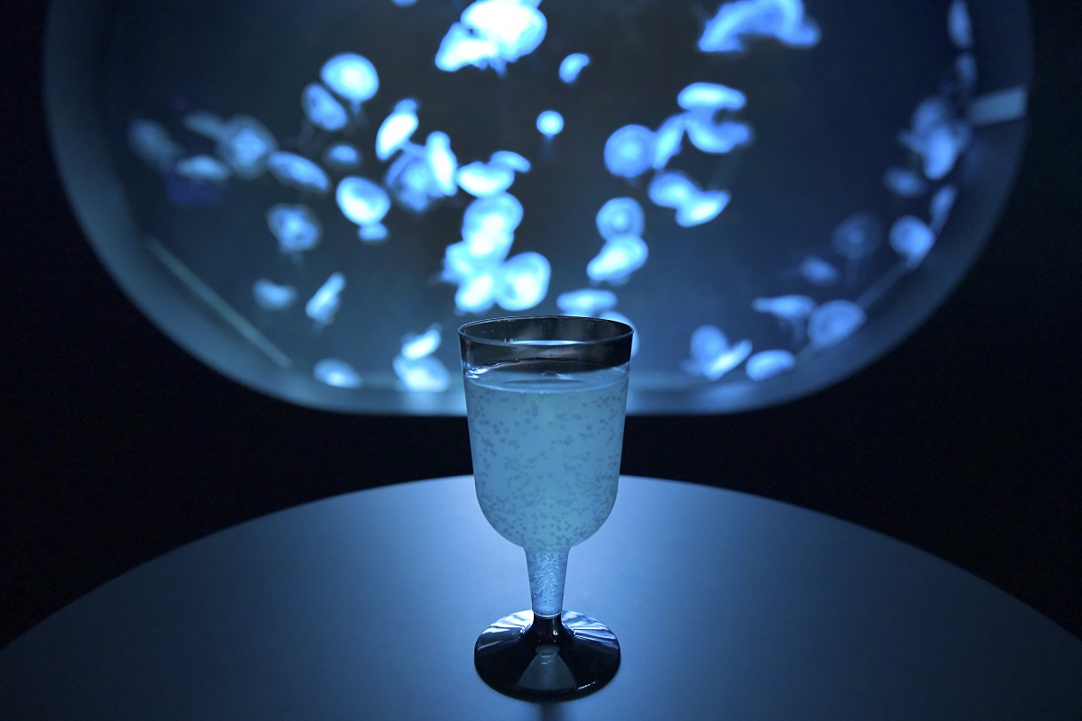 AOAO スパークリング　790円