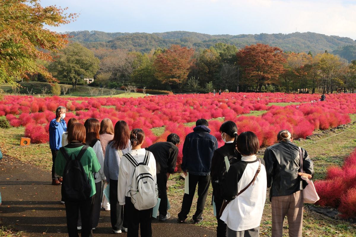 フィールドワークの様子