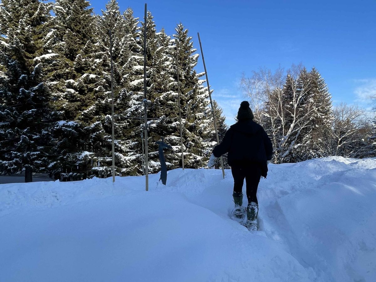 敷地内のほとんどは雪に覆われた自然のままの状態。自分だけの道を作り、雪原に分け入る楽しさが味わえます