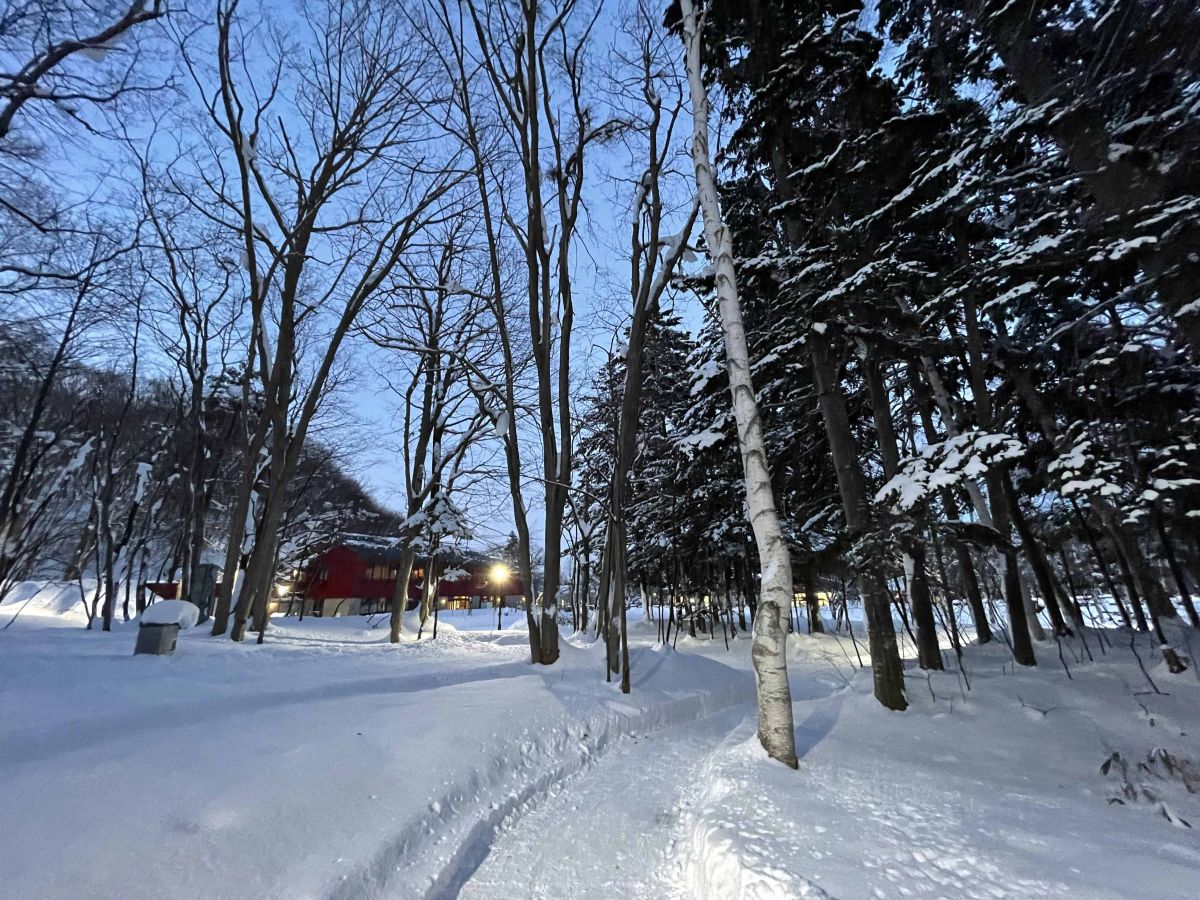 四季折々に魅力あふれる「芸森」。清らかな白銀に包まれた冬の美しさは格別です