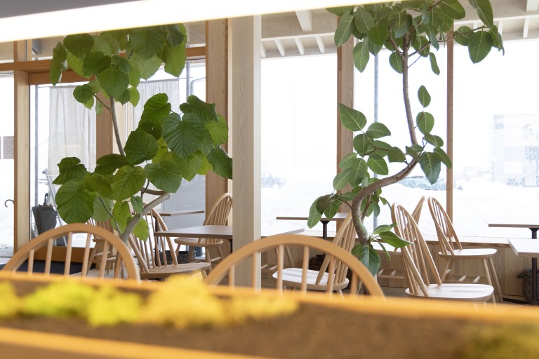 自然光が注ぐ明るいテーブル席